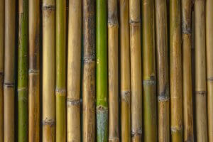 Dekorer dit badeværelse med bambus: Originale ideer