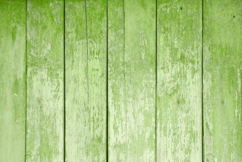 Greenery er navnet på en farve fra Pantone, der var årets farve i 2017.