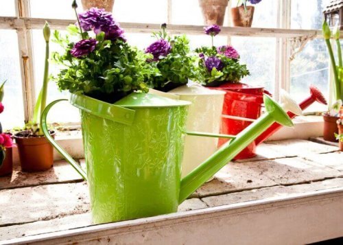 originale blomstervaser med vandkander
