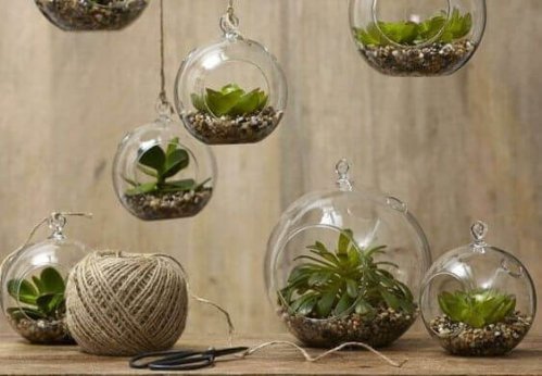 gør-det-selv idéer til planter i glas