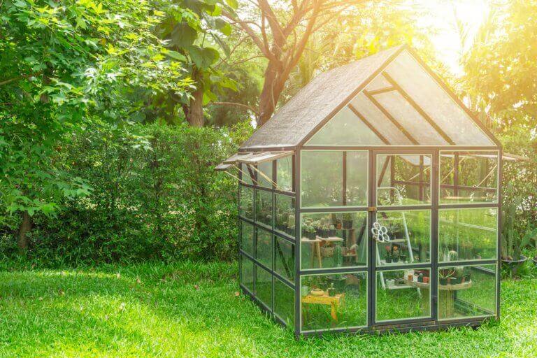 lille drivhus i en have