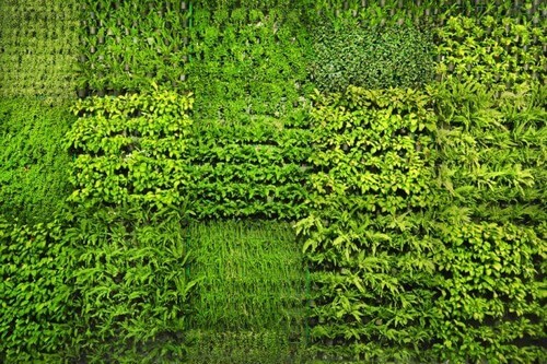 Havemure lavet af plantekasser 