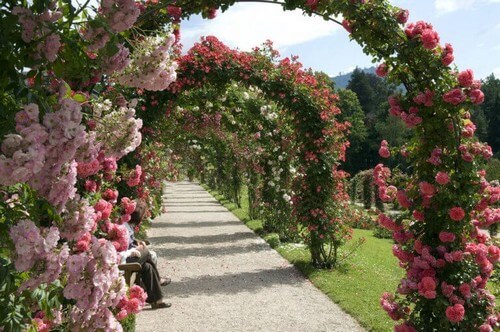 Pynt din have med rosenbuer 