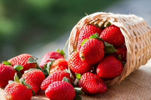 Hvordan du kan dyrke jordbær derhjemme