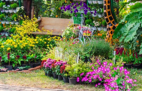4 forslag til at pleje din have om sommeren