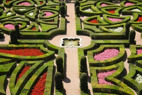Fransk have med masser af farve