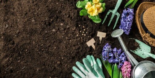 du kan plante forskellige planter i din have