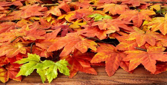 blade i efterårsfarver