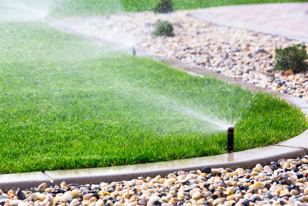 havesprinklere der sprøjter vand på plæne