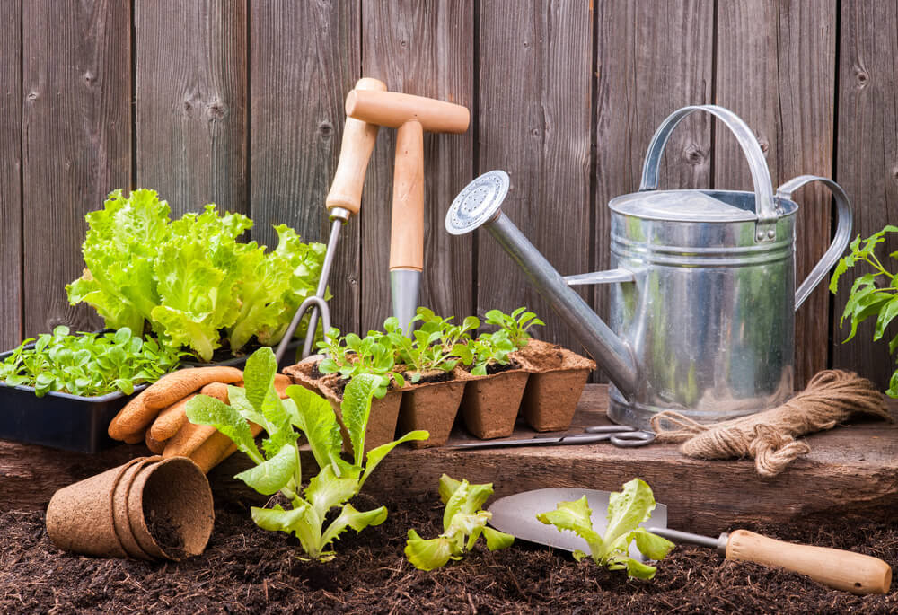 redskaber til at dyrke grøntsager derhjemme