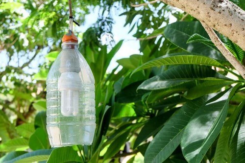 Gode tips til at genbruge plastikflasker