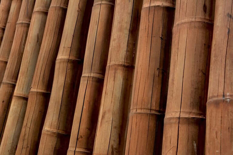 Guadua Bambus - Et moderne materiale