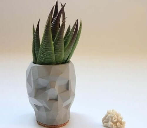 vase med plante