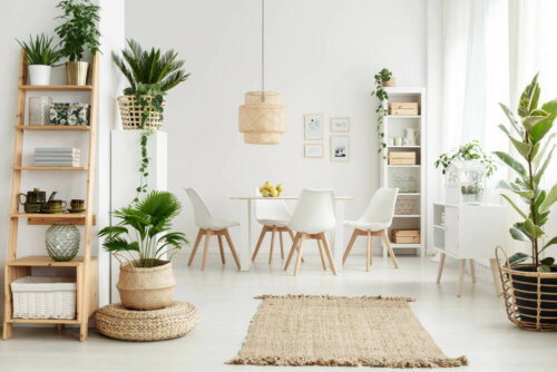 stue med planter som dekoration