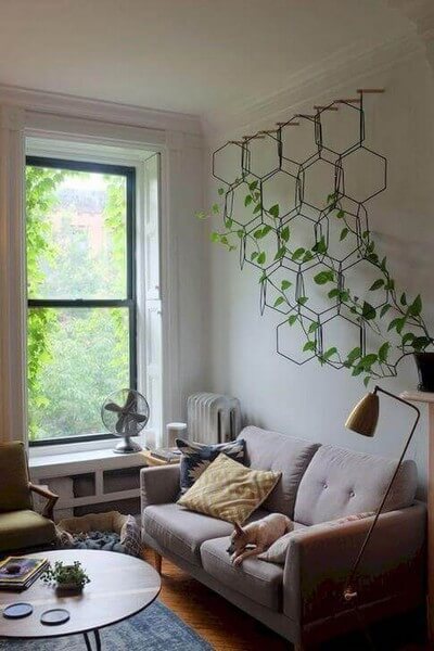 Klatreplanter i stuen