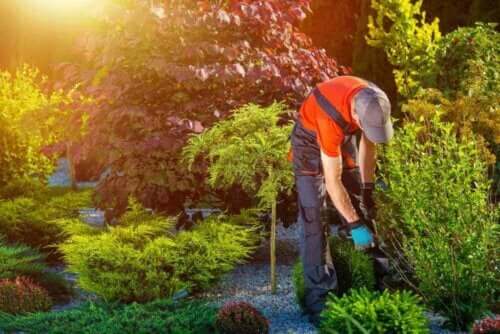 5 tips til at forberede din have på sommeren