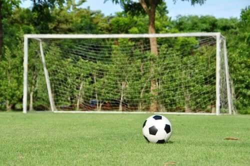 Lav en fodboldbane i din baghave