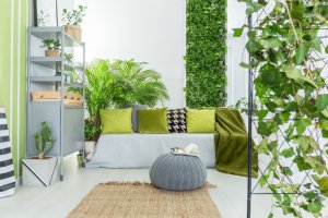 Wohnzimmer mit vielen Pflanzen