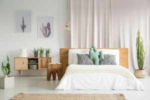 Schlafzimmer mit Kakteen dekoriert