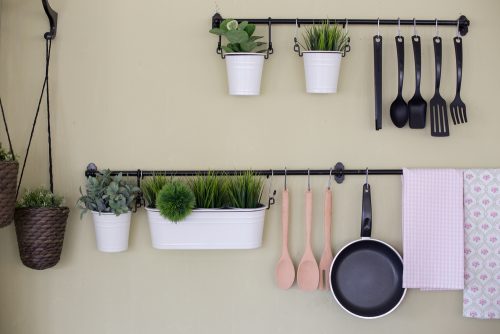 Richte eine Kakteenecke ein, um deine Küche mit Pflanzen zu dekorieren