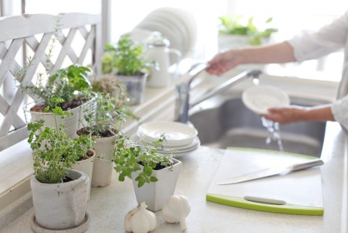 8 inspirierende Ideen, um deine Küche mit Pflanzen zu dekorieren