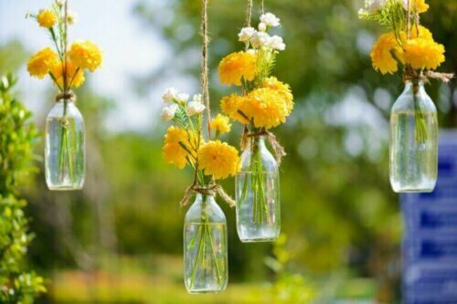 Recycle deine Glasflaschen und verwende sie als originelle Blumenvasen.