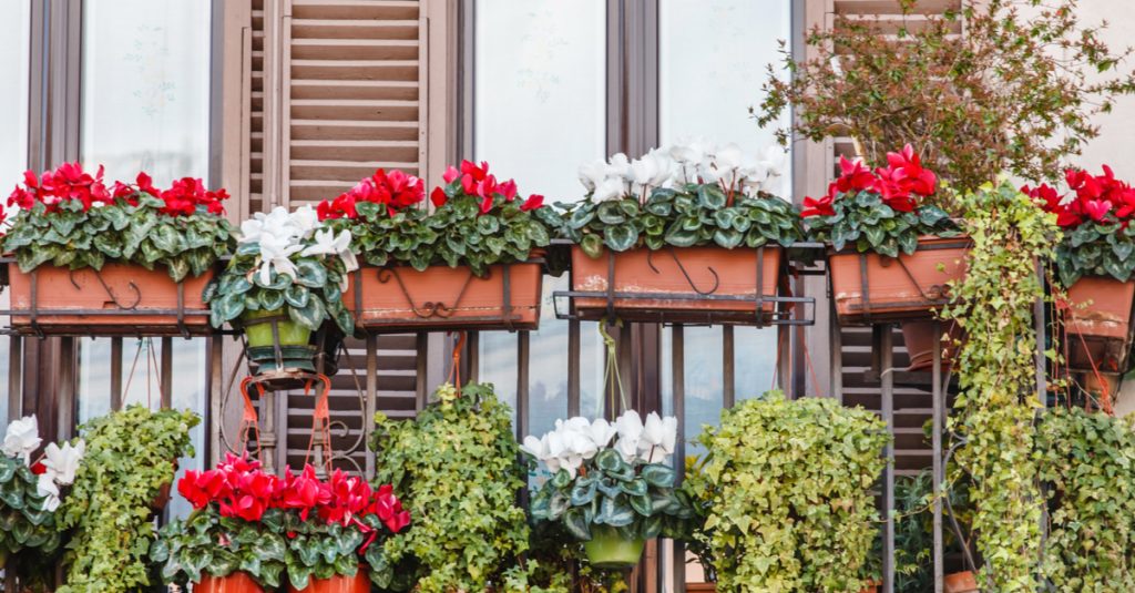 Balcón decorado con flores y macetas