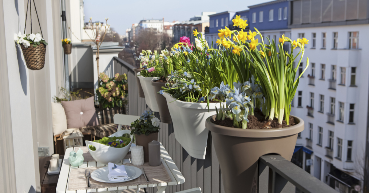 Balcón decorado con plantas en maceteros adaptados a la barandilla