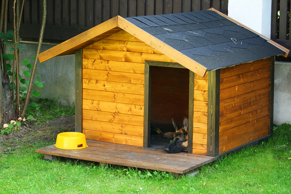 Caseta de perro con el techo a dos aguas.