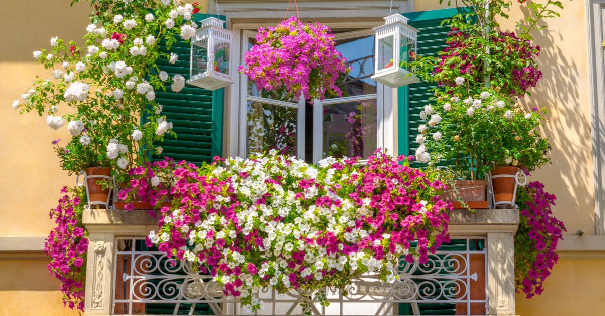 5 ideas de mini jardines para balcones