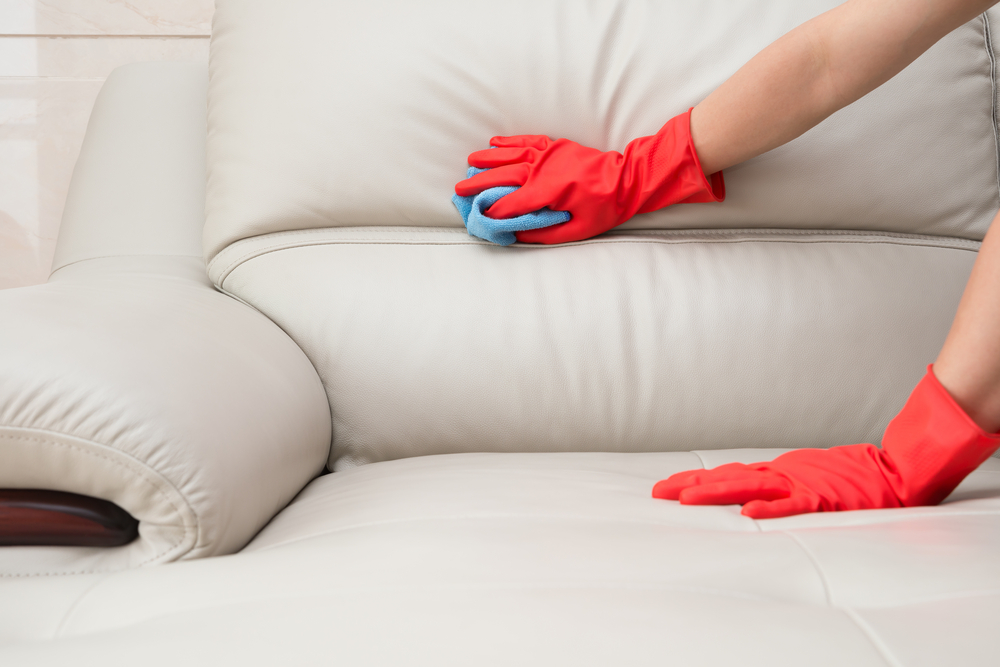 How to clean a leather sofa