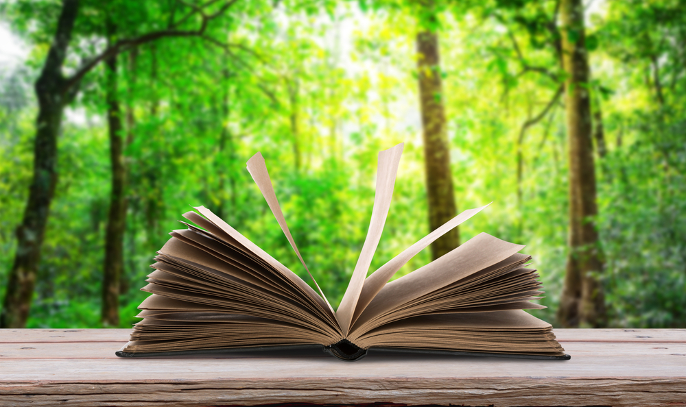 5 ideas de espacios de lectura exterior: aprovecha el buen tiempo