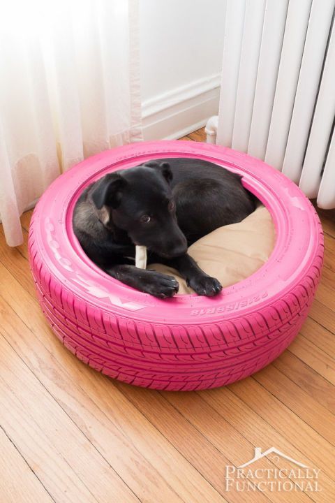 A pink tyre pet bed for a puppy.