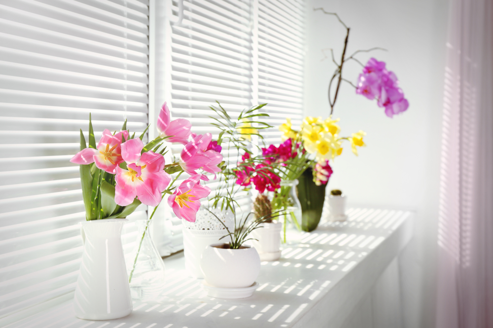 Flores de interior en tu hogar