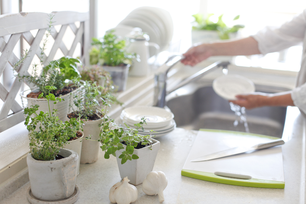8 grandiosas ideas para decorar tu cocina con plantas