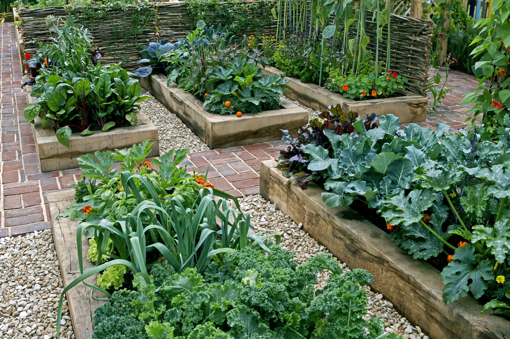 home garden soil