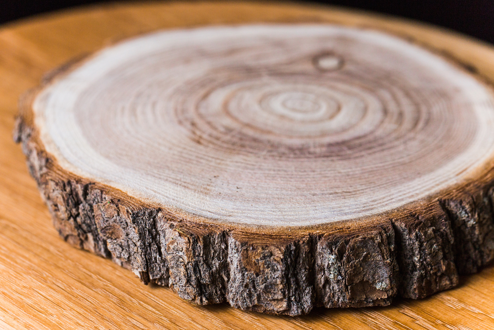 Wooden log.