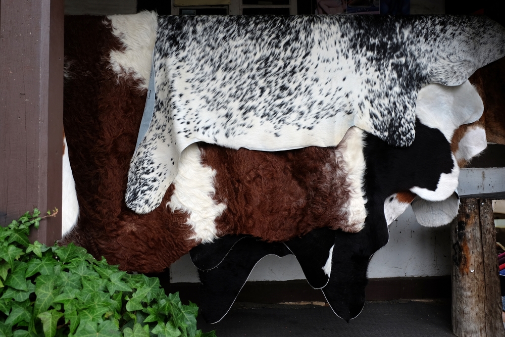 Cowhide rugs can be natural or synthetic.