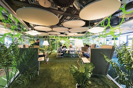 Oficinas de Google con plantas.
