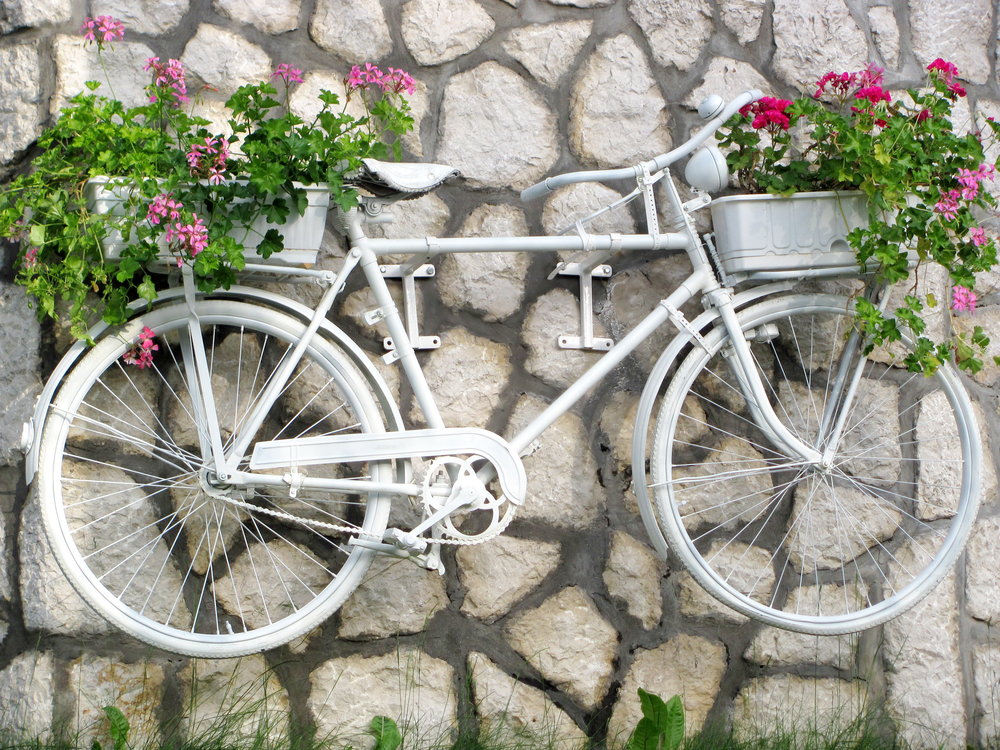 Paint your bicycle white to create a vintage planter.