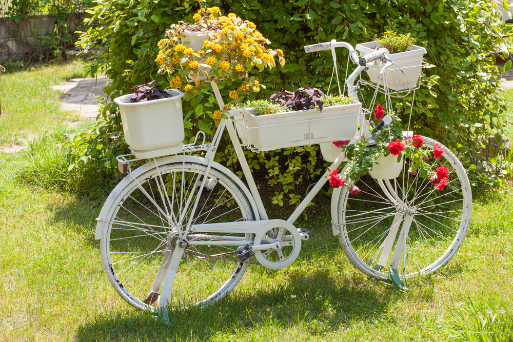 Bicicleta jardinera blanca.