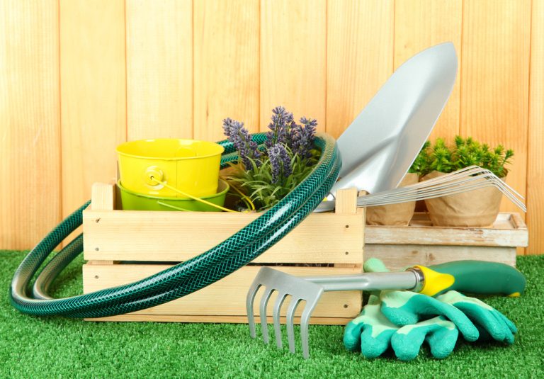 Equipos para jardinería que debes tener en tu hogar