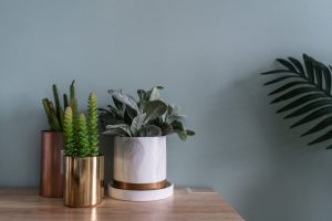 3 jarrones de diseño minimalista