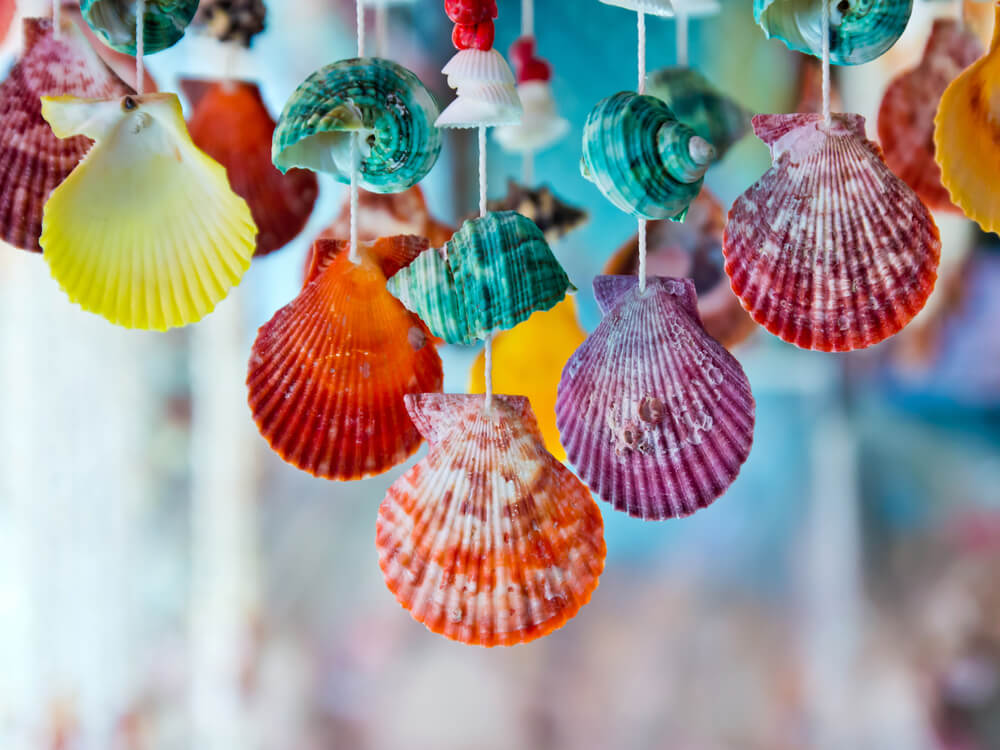 Ideas para decorar con conchas marinas y caracoles