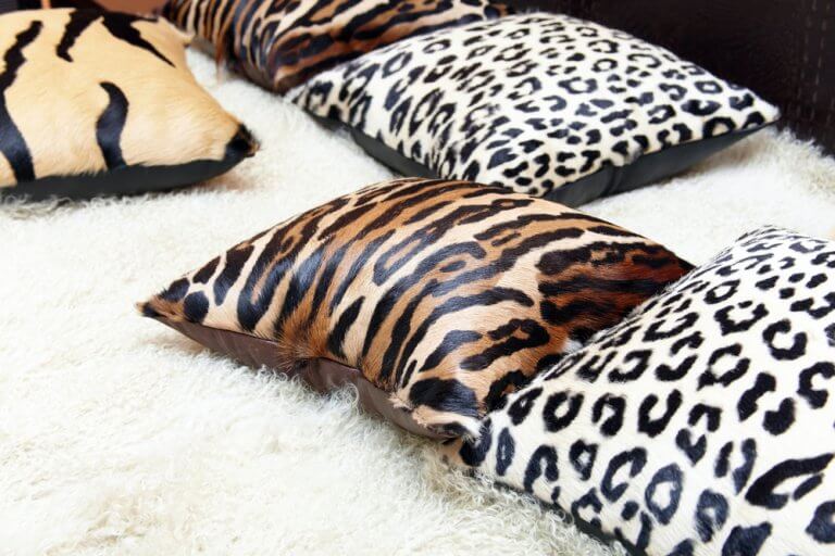Recursos decorativos de leopardo