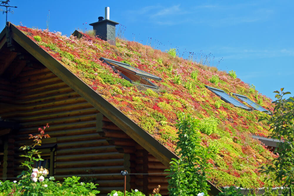 There are two main types of green roof.