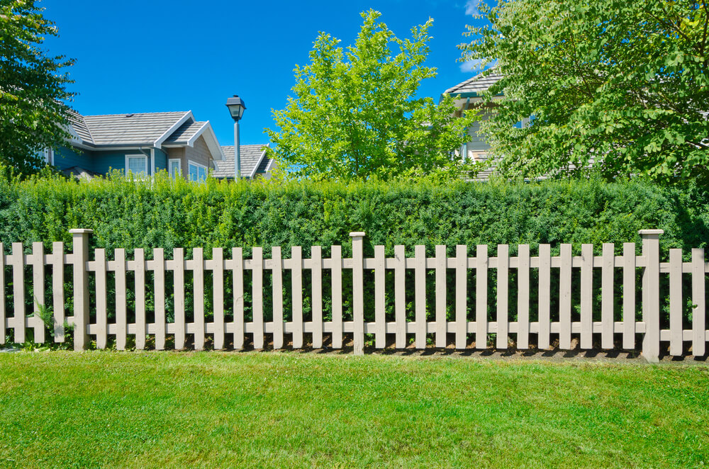 Types of fences for the garden