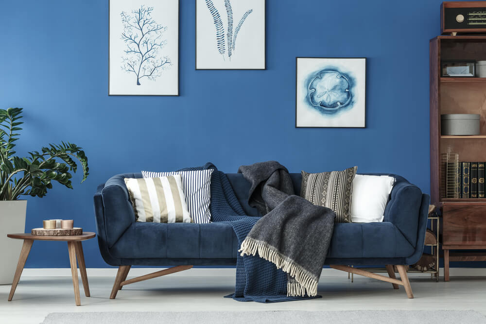 A navy blue couch in front of a classic blue wall.