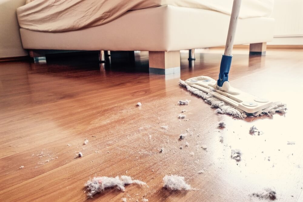 Dust under the bed