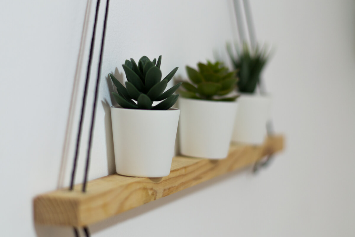 A floating shelf suspended by a rope, with three small succulent plants sitting on it.